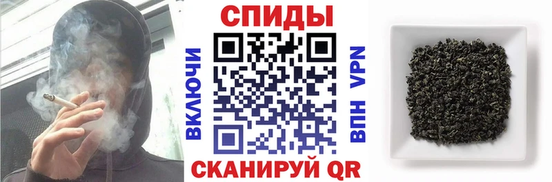 БУТИРАТ буратино  Суворов 