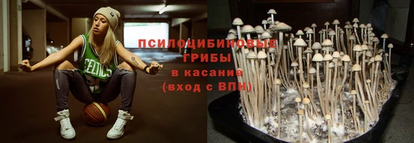 эйфоретик Лабытнанги