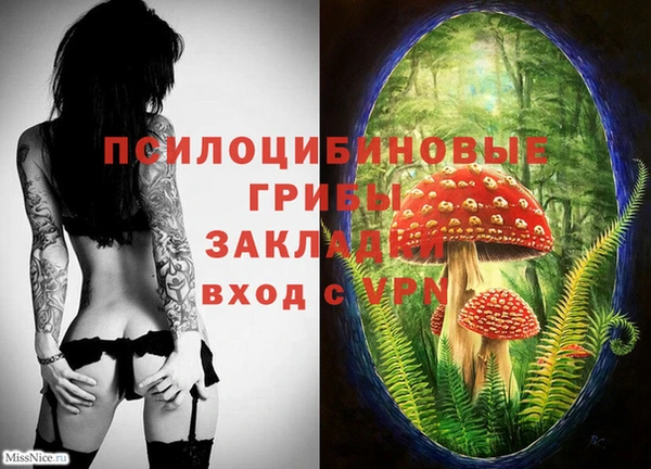 трава Кукмор